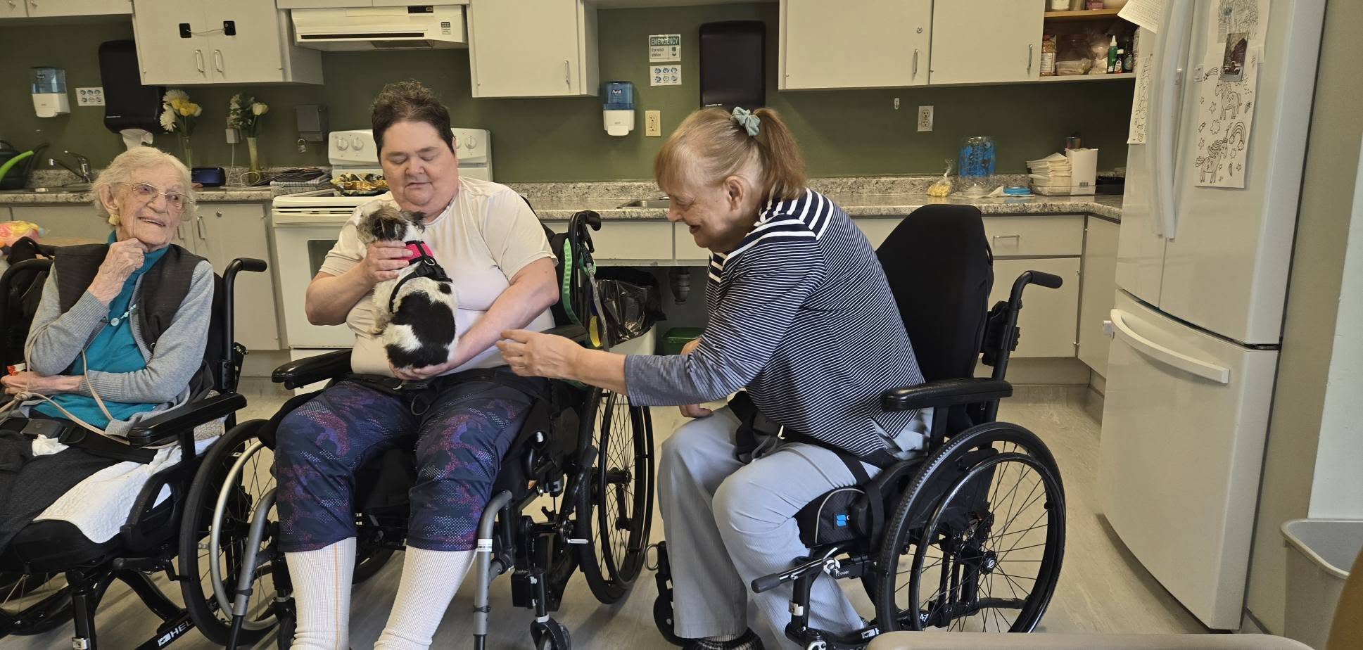 Resident petting therapy dog